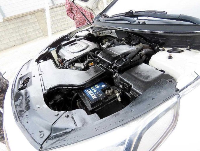 LF SONATA